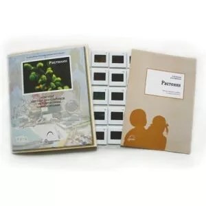 Слайд-комплект по начальной школе (20 сл.) Растения 72297992