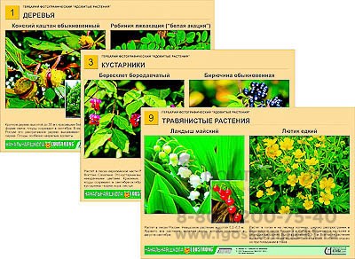 Гербарий фотографический "Ядовитые растения 1471043550