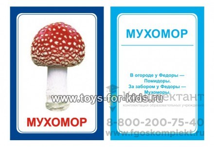 Логопедические карточки "Р, Р`", Вундеркинд с пеленок 1809369123