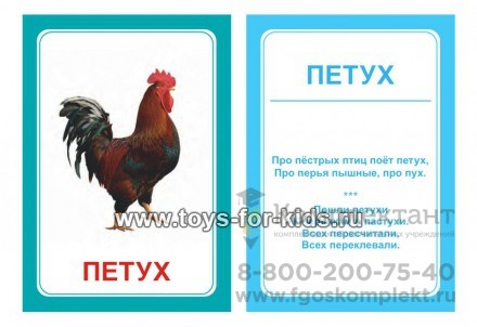 Логопедические карточки "Щ+Х", Вундеркинд с пеленок 409063875