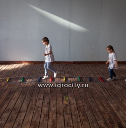 Координационная лестница, МиниВини 0390795098