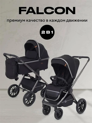 Коляска 2 в 1 Rant Falcon Black 16316