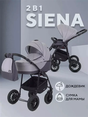 Коляска 2 в 1 Rant Siena 2024 02 темно-серый - светло-серый 5903990641664