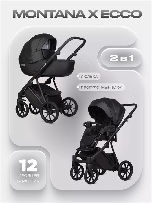 Коляска 2 в 1 Riko Basic Montana X Ecco 12 Black 5907729455447