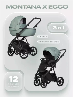 Коляска 2 в 1 Riko Basic Montana X Ecco 21 Green 5907729455492