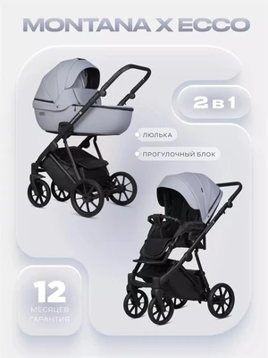 Коляска 2 в 1 Riko Basic Montana X Ecco 23 Grey 5907729455515