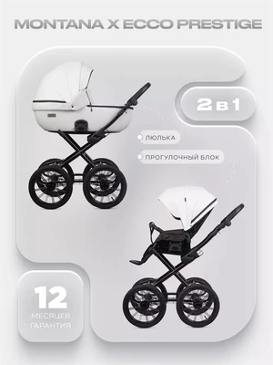 Коляска 2 в 1 Riko Basic Montana X Ecco Prestige 11 White 5907729455355