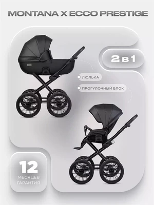 Коляска 2 в 1 Riko Basic Montana X Ecco Prestige 12 Black 5907729455362