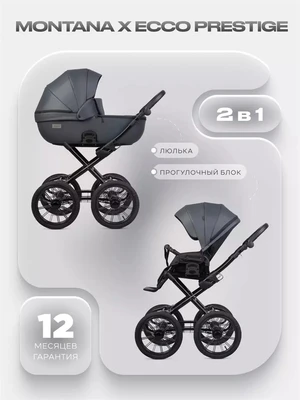 Коляска 2 в 1 Riko Basic Montana X Ecco Prestige 24 Graphite 5907729455393