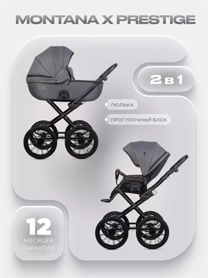 Коляска 2 в 1 Riko Basic Montana X Prestige 04 графит 5907729455768