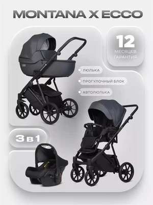 Коляска 3 в 1 Riko Basic Montana X Ecco 24 Graphite 5907729455560