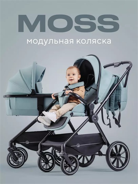 Коляска 2 в 1 Rant Moss Sage green 4670078642509
