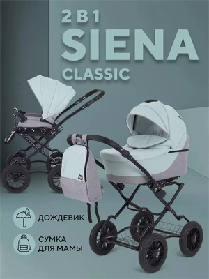 Коляска 2 в 1 Rant Siena Classic 2024 10 серый-ментоловый 5903990641848