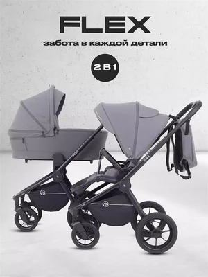 Коляска 2 в 1 Rant Flex 2025 RA076 Graphite 4670078652911