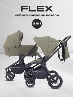 Коляска 2 в 1 Rant Flex 2025 RA076 Green 4670078652904