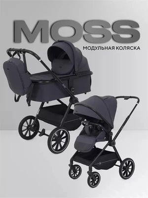 Коляска 2 в 1 Rant Moss 2025 Graphite 4670078653529