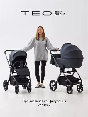 Коляска 2 в 1 Rant Teo Black Chrome Graphite 25999