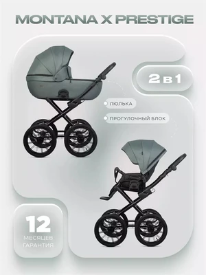 Коляска 2 в 1 Riko Basic Montana X Prestige 51 Green 5907729455416