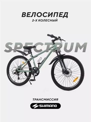 Велосипед 2-колесный Rant Spectrum 24" оливковый 4670078657619