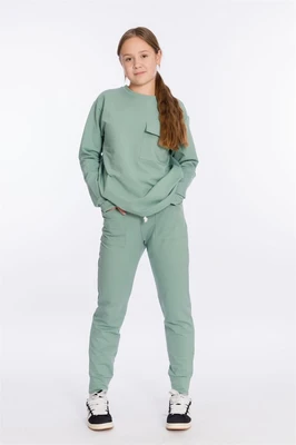 Костюм (толстовка+брюки) М223074а М223074а