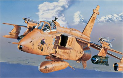 0067  авиация  JAGUAR GR.1 (1:72) 8001283000673