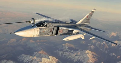 01673  авиация  ОКБ С-24М Fencer-D  (1:72) 9580208016733