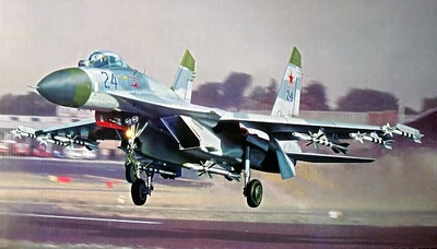 02224  авиация  ОКБ С-27 Flanker B  (1:32) 9580208022246