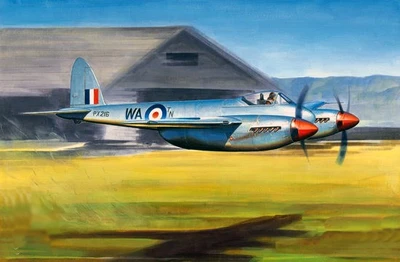 02893  авиация  De Havilland Hornet F.1  (1:48) 9580208028934