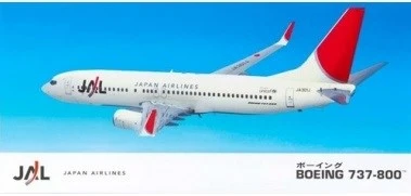 10736  авиация  Boeing 737-800  (1:200) 2000000132112