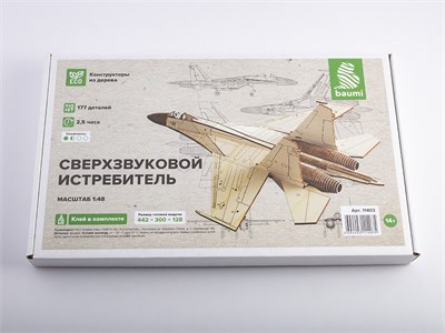 11403  авиация  Сверхзвуковой истребитель  (1:48) 2000002136378