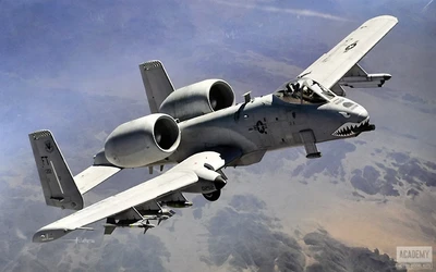 12348  авиация  USAF A-10C "75th FS Flying Tigers"  (1:48) 8809845380733