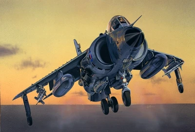 1236  авиация  SEA HARRIER FRS.1 (1:72) 8001283012362