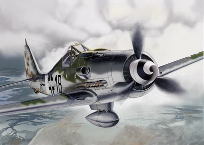 1312  авиация  FW 190 D-9 (1:72) 2000002093114