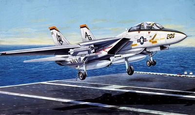 1156  авиация  F-14A TOMCAT (1:72) 8001283011563