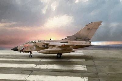 1384  авиация  TORNADO GR.1  (1:72) 8001283013840