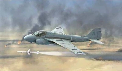 1392  авиация   A-6E TRAM Intruder  (1:72) 8001283013925
