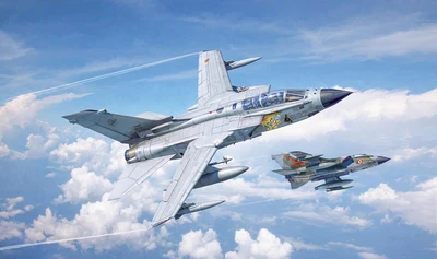 2520  авиация  Tornado IDS  (1:32) 8001283025201