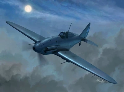 48013  авиация  Reggiane Re.2001 CN  (1:48) 8596444480130