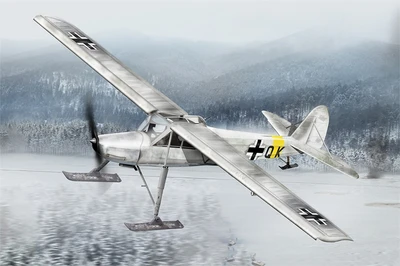 80183  авиация  Fieseler Fi-156 C-3 Skiplane  (1:35) 6939319201836