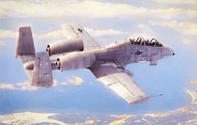 80324  авиация  N/AW A-10A Thunderbolt II (1:48) 6939319203243