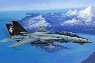 80368  авиация  F-14D Super Tomcat  (1:48) 6939319203687