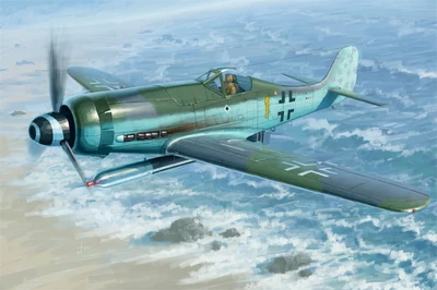 81720  авиация  Focke-Wulf FW190D-12 R14  (1:48) 6939319217202