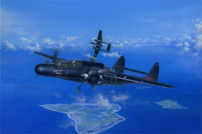 81731  авиация  P-61B Black Widow  (1:48) 6939319217318