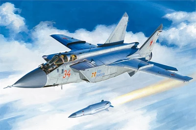 81770  авиация  M&G-31BM. w/KH-47M2  (1:48) 6939319217707