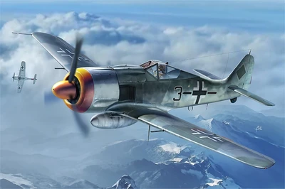 81782  авиация  Focke-Wulf FW190A-8  (1:48) 6939319217820