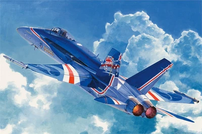 85809  авиация  RAAF F/A-18C  (1:48) 6939319258090