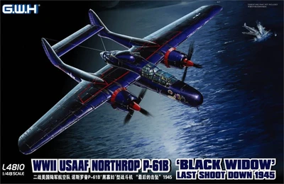 L4810  авиация  Northrop P-61B 'Black Widow' Last Shoot Down 1945  (1:48) 6947917010101