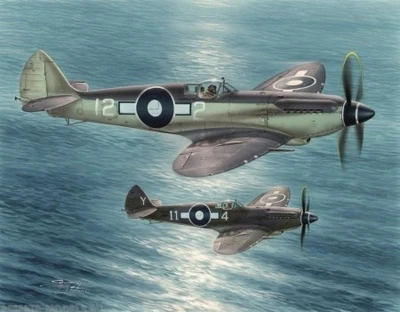 SH48116  авиация  Seafire Mk.XV "Far East Service"   (1:48) 859407108297