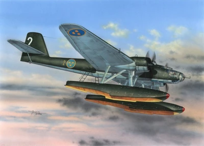 SH48146  авиация  Heinkel He 115 Scandinavian Service  (1:48) 8594071084028