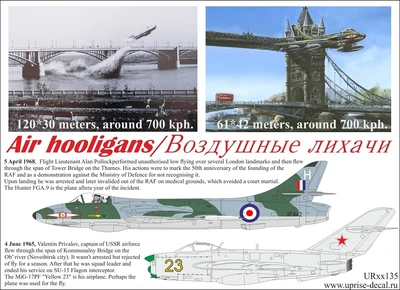UR48135  декали  Air hooligans Hawker Hunter FGA.9  & M&G-17PF  (1:48) 2000002149309